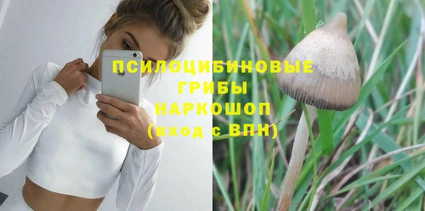 ГАЛЛЮЦИНОГЕННЫЕ ГРИБЫ Михайловск