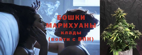 ГАЛЛЮЦИНОГЕННЫЕ ГРИБЫ Михайловск