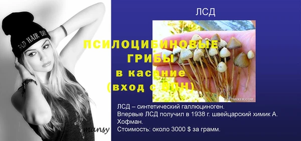 стаф Михайловка