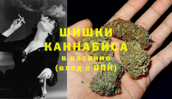 шишки Мегион