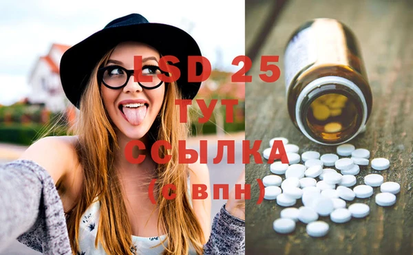 ГАЛЛЮЦИНОГЕННЫЕ ГРИБЫ Михайловск