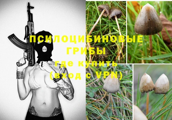 стаф Михайловка