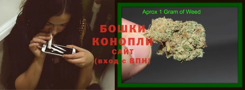 Бошки марихуана THC 21%  Калининск 